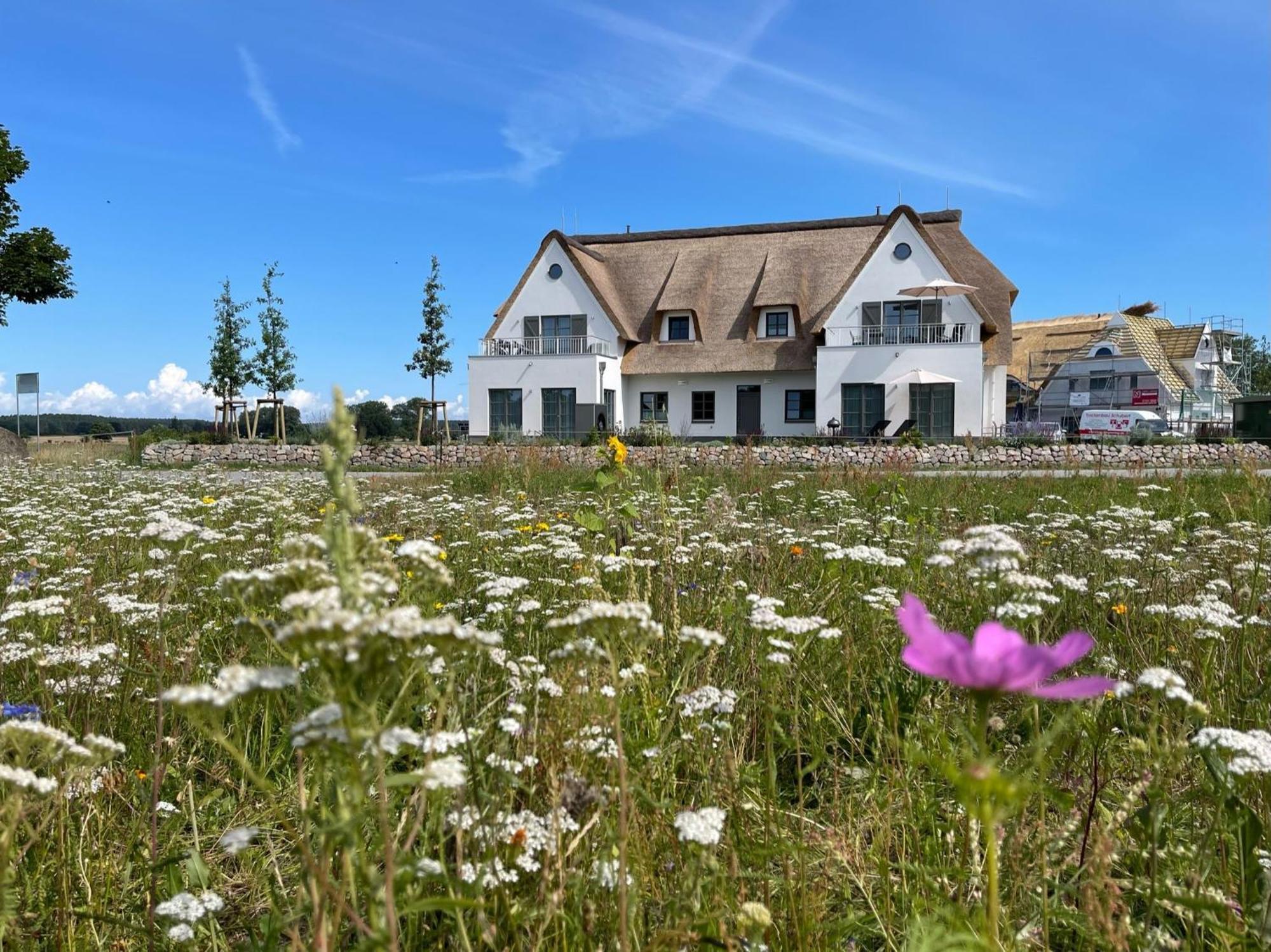 Inseldomizil Stolpe - Urlaub Unter Reet Auf Usedom Villa Stolpe auf Usedom Exterior photo